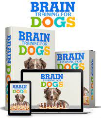 brain training for dogs review