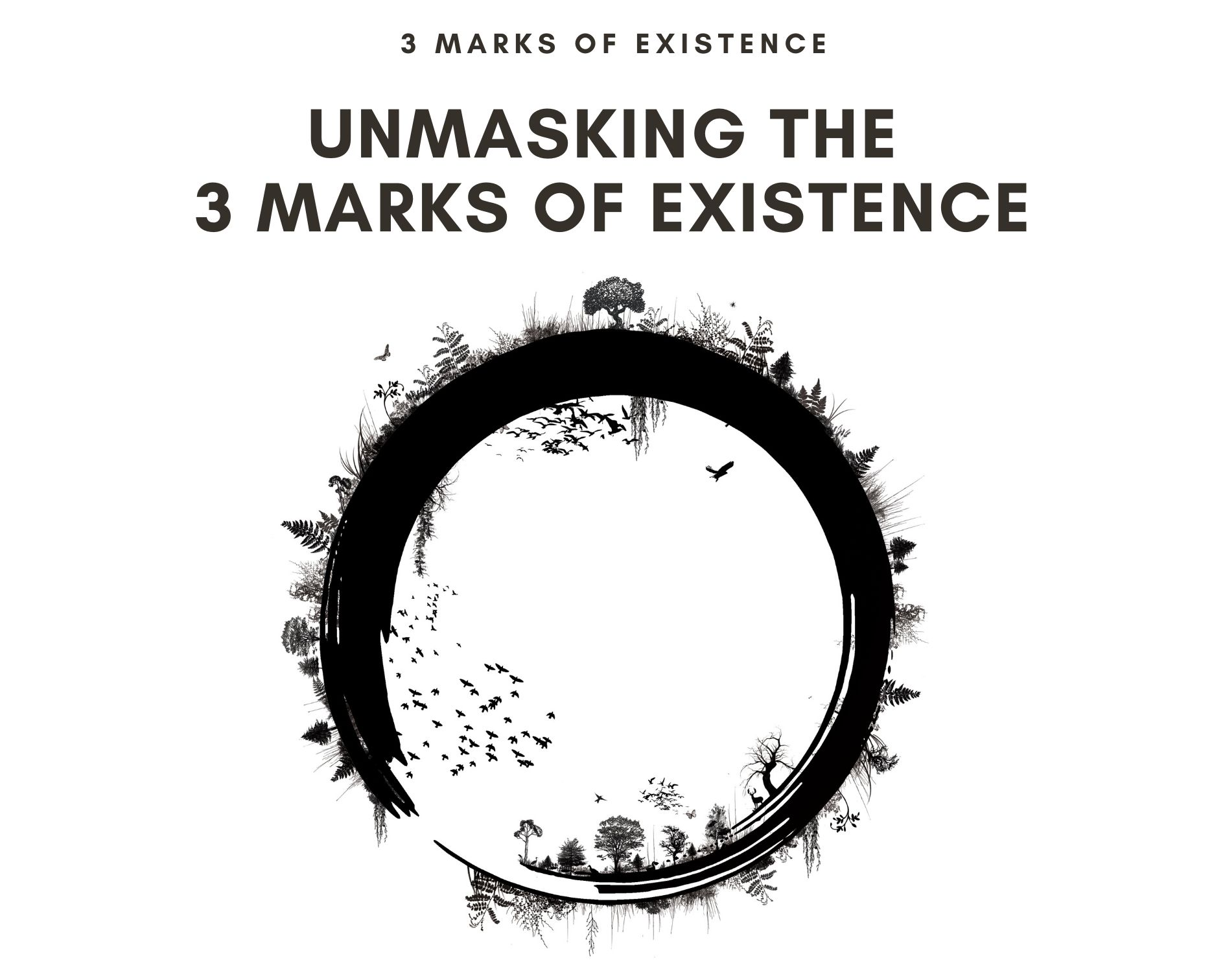 The importance of the 3 marks of existence- helpful info to know!