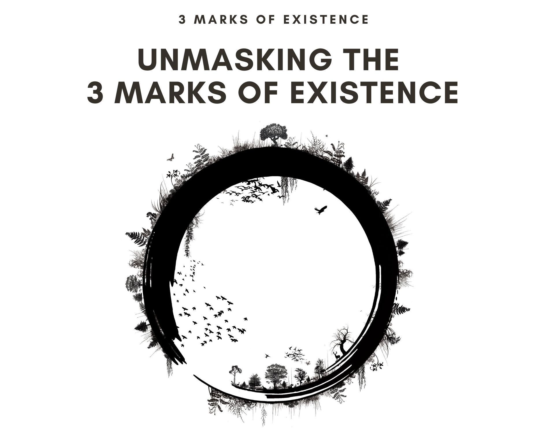image 3 The importance of the 3 marks of existence- helpful info to know!